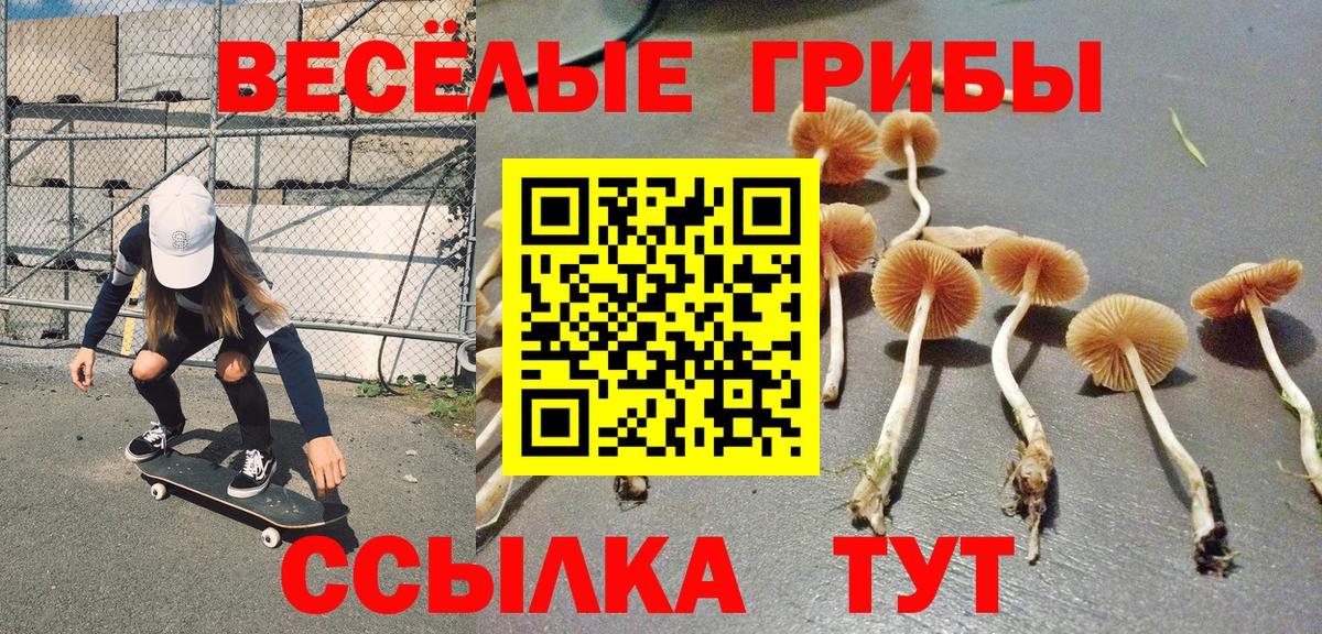 Псилоцибиновые грибы Magic Shrooms Кизляр