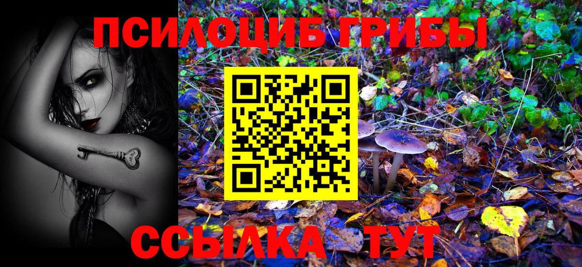 Кизляр  Галлюциногенные грибы GOLDEN TEACHER  Вход с VPN 
